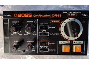 Boss DR-55 Dr. Rhythm (25085)