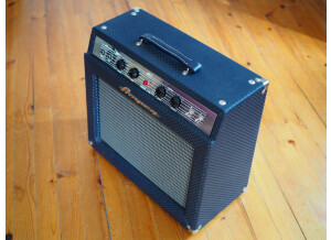 Ampeg J-20 