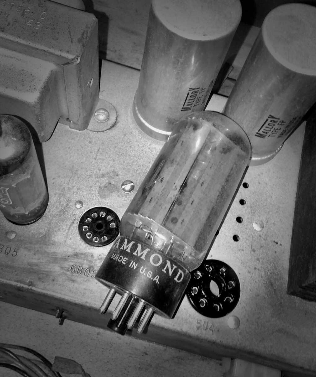 5906098.jpeg 5906098.jpeg