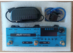 Amt Electronics Pangaea CP-100FX