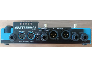 Amt Electronics Pangaea CP-100FX