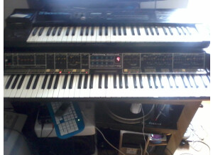 Moog Music Polymoog Synthesizer (203A) (89085)
