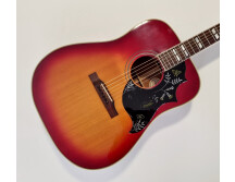 Gibson Hummingbird (68996)
