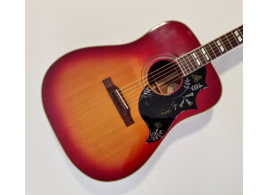 Gibson Hummingbird (68996)