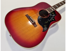 Gibson Hummingbird (24240)
