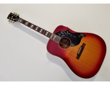 Gibson Hummingbird (39819)