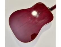 Gibson Hummingbird (81285)