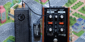 moog MF-101 avec alimentation, pedale d'expression