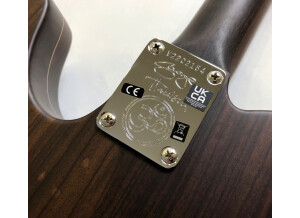 Fender George Harrison Rosewood Telecaster (2022) (10105)