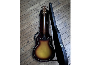 Gibson ES-359 V2