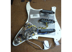 Fender Pre-Wired Strat Pickguard Tex-Mex SSS (29483)