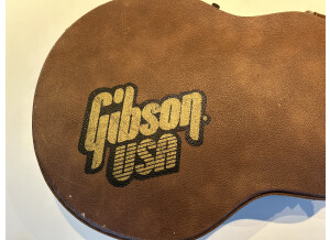 Gibson Les Paul Standard (1996)
