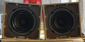 Enceintes AURATONE C5 Super Sound Cubes Vintage 