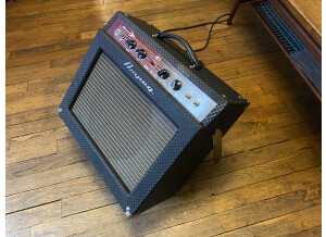 Ampeg J-20 