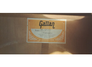 Gallan 303 (91978)