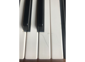 Yamaha CS15 (24398)