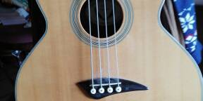 BASSE ACCOUSTIQUE FRETLESS