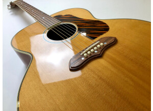 Gibson 1941 SJ-100 (51247)