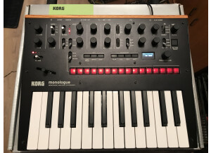 Korg Monologue (32718)