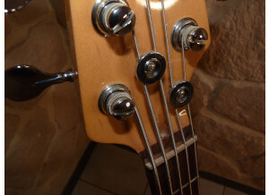 Squier Deluxe Dimension Bass V