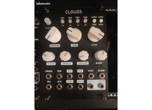 Mutable Instruments Clouds (5256)