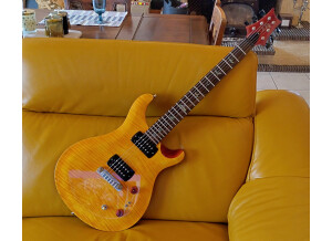 PRS SE Paul's Guitar (96783)