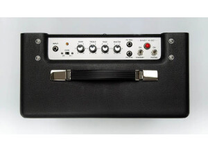 Magnatone Amps Baby M-80