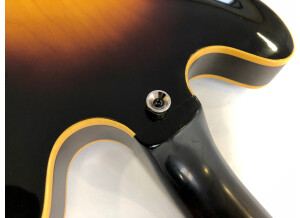 Gibson ES-335 TD (79451)