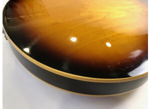 Gibson ES-335 TD (18399)