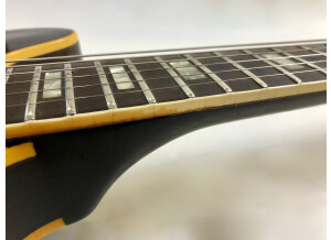 Gibson ES-335 TD (66872)