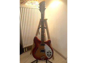 Vue generale pied