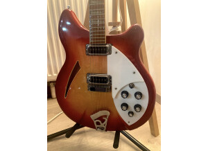 Rickenbacker 360