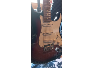 Fender Player Stratocaster (12570)