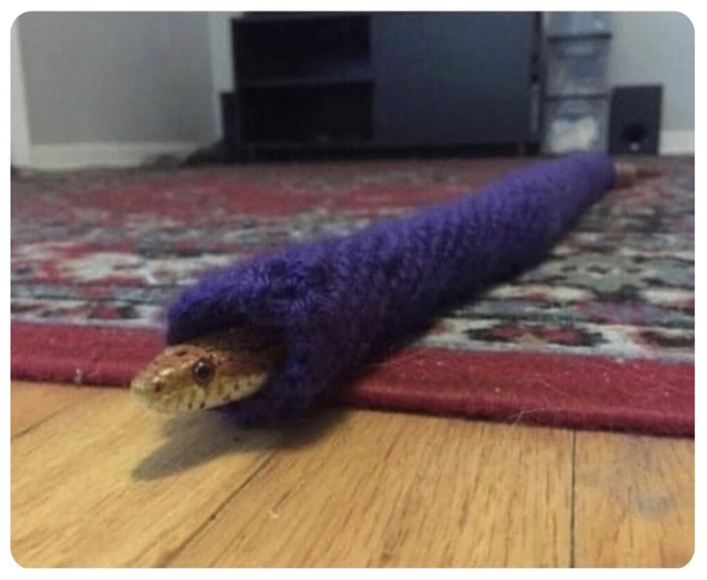 5917478.png 5917478.png