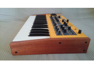 Dave Smith Instruments Mopho Keyboard (84837)