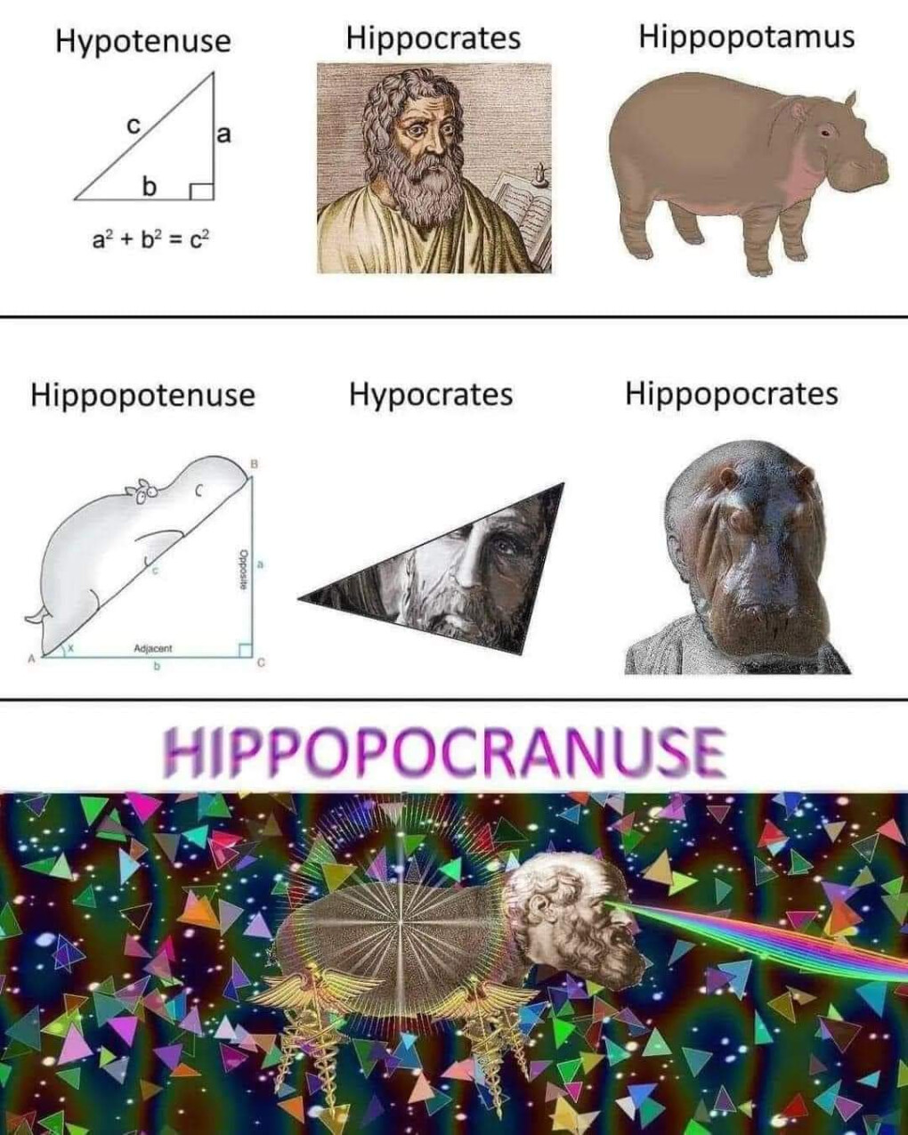 5917845.jpg 5917845.jpg