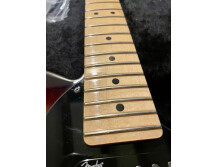 Fender Tele-Bration Mahogany Telecaster (56225)
