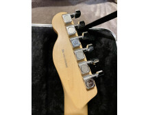 Fender Tele-Bration Mahogany Telecaster (43386)