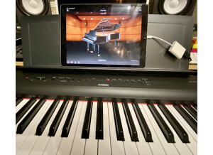 Yamaha P-121 Digital Piano (63416)