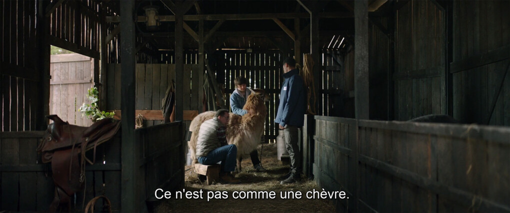 5918562.jpg 5918562.jpg