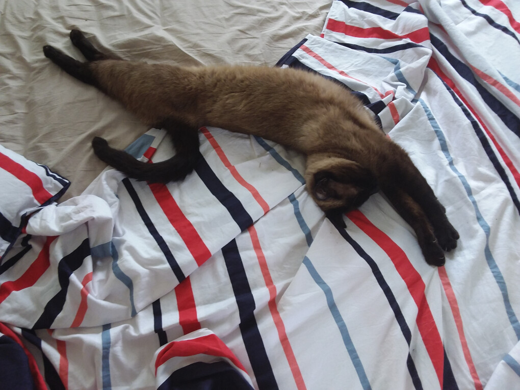 5918755.jpg 5918755.jpg