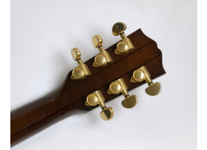 Gibson EC-20 Starburst (99552)