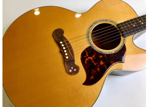 Gibson EC-20 Starburst (41784)