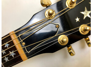Gibson EC-20 Starburst (23851)