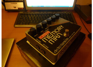 Electro-Harmonix Deluxe Memory Man