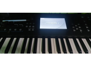 Yamaha MODX7+ (81688)
