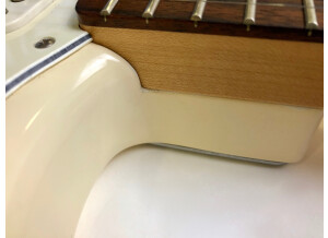 Fender Standard Stratocaster [2009-2018] (14829)