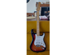Fender Player Stratocaster HSS (65343)