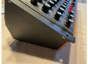 Moog Music Minimoog Voyager Rack Mount Edition (5989)