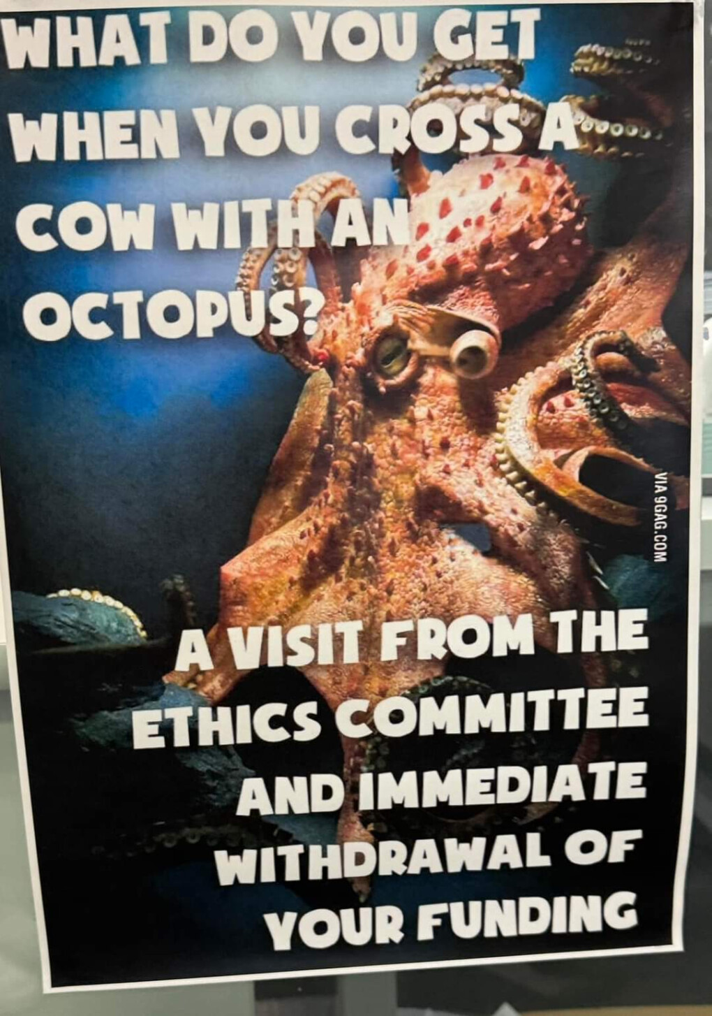 5921889.jpg 5921889.jpg